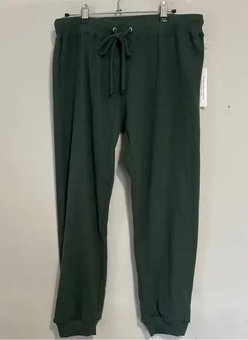perfectwhitetee Brooke Cozy Triblend Ribbed Jogger NEW Green Size L