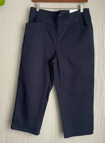 Croft & Barrow  Mid Rise Effortless Capri Navy Blue Pants Size 10 - Image 1