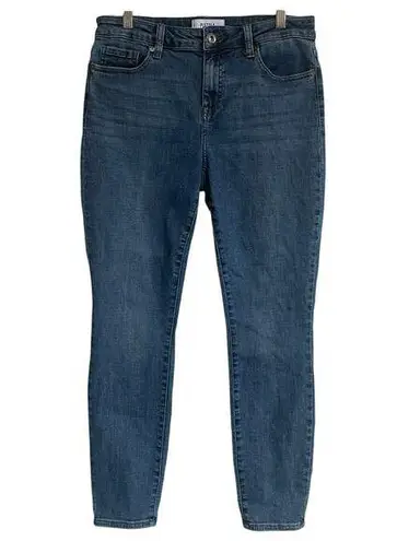 Pistola Womens Blue Denim Mid Rise Modern Slim Skinny Classic Jeans | Revolve 29