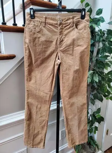 st. john's bay  Women's Brown Cotton Zipper Mid Rise Straight Leg Pant Size 12