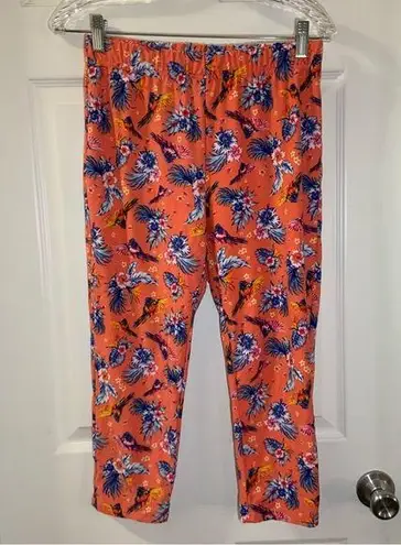 Terra & Sky  Orange Floral Print Pull On Leggings 0X