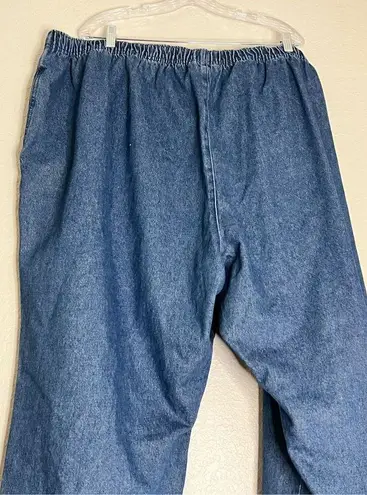 Woman Within New  Classic Fit Size 36 T Blue Jeans Item