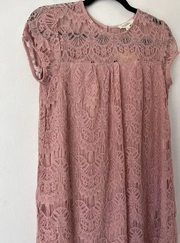 Rebellion NWT Again Mauve Pink Floral Lace Overlay Shift Dress Size Small