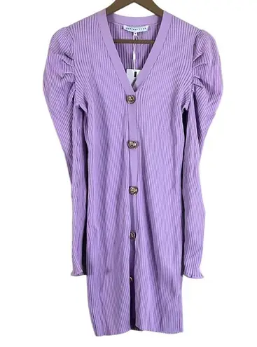 Endless Rose NWT Dress Womens M Purple Puff Sleeve V-Neck Knit Mini Old Money