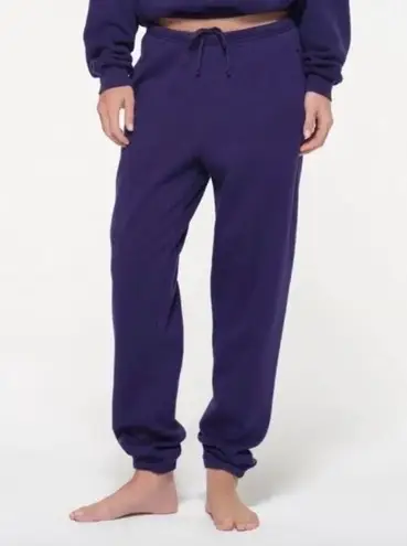 SKIMS Cotton Fleece Classic Jogger in Concord, Size Small