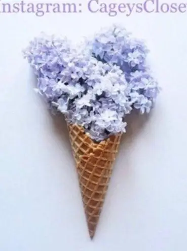 Caslon Dress Shorts 2 Bermuda Cuffed Black