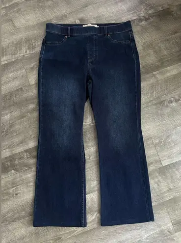 Soft Surroundings pull on jeans size Large