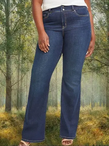 Lane Bryant  really flattering flare cut jeans