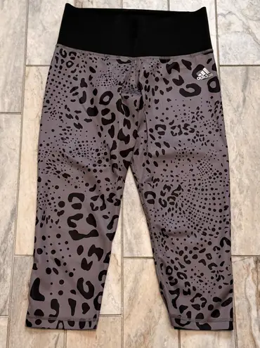 NEW Adidas women's small gray/black Climalite Capri Leopard Leggings MSRP $120 Gray