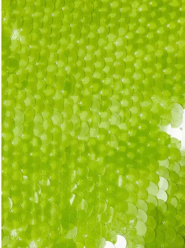 Kim Shui Revolve Green Sequin Mini Dress