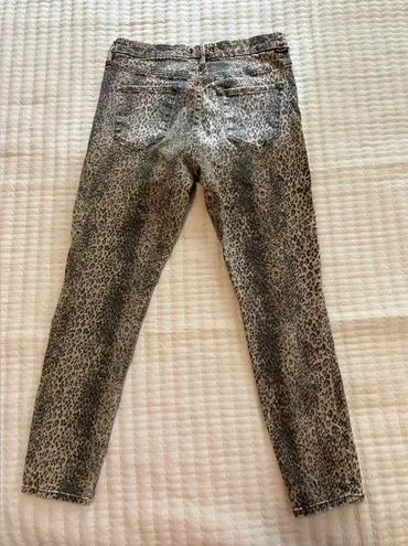 Dear John  Leopard print Giselle size 29 pants. Perfect for Fall