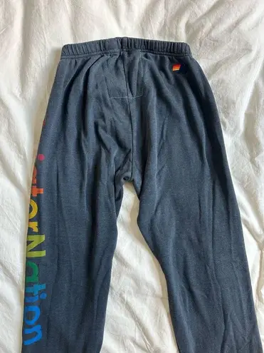 Aviator Nation  charcoal sweatpants