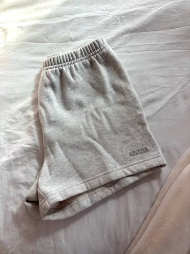 Aritzia  Shorts TNA
