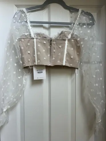 Hello Molly  top thumbnail 2