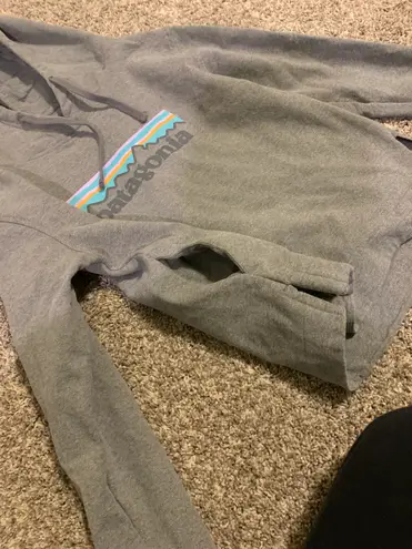 Patagonia Hoodie