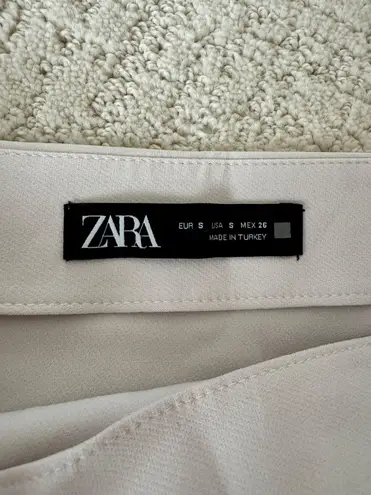 ZARA Skirt