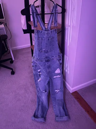 Pink Lily Distressed Boyfriend Overalls