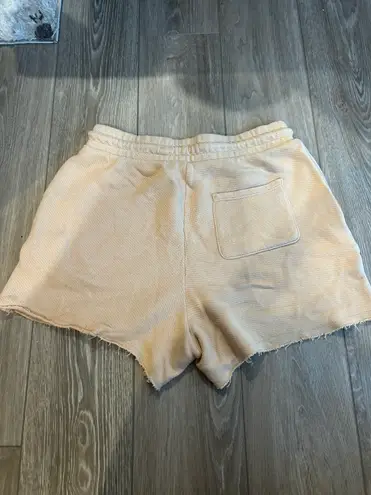 American Eagle Outfitters Orange Shorts