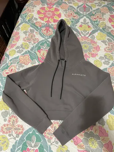 Alphalete Cropped Hoodie