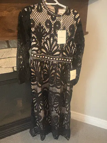 Bohme Super trendy and adorable, dress