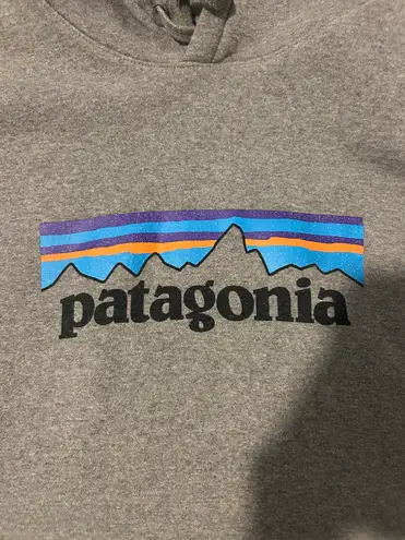 Patagonia Hoodie