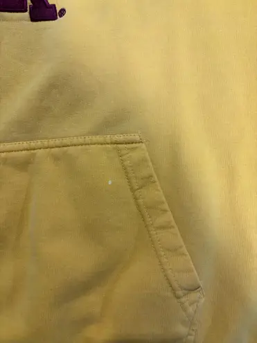 Genuine Merchandise Vintage Minnesota Hoodie