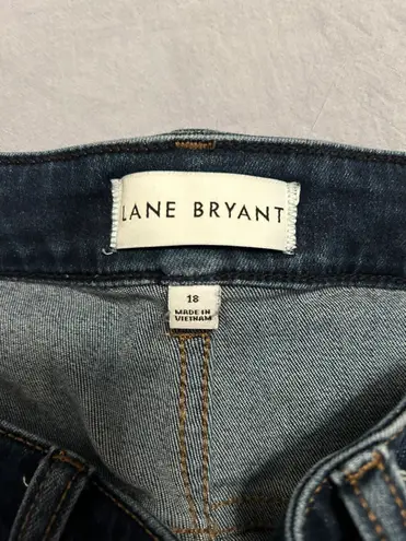 Lane Bryant Jeans