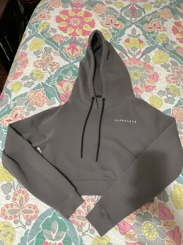 Alphalete Cropped Hoodie