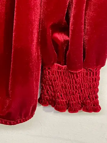 Wonderly Wine Red Velour Peasant Blouse V Neck Stretchy Comfort