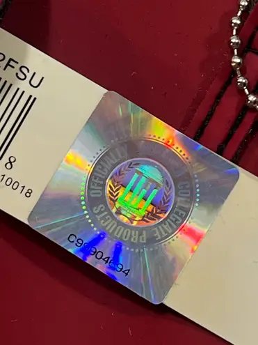 Florida State University FSU Purse Handbag