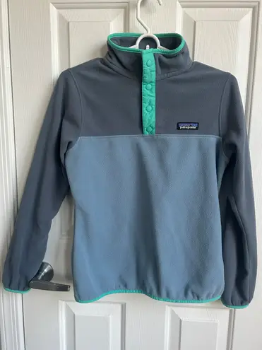 Patagonia Synchilla Snap-T Fleece Pullover