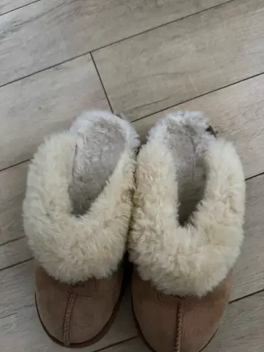 Uggs Coquette Slippers 