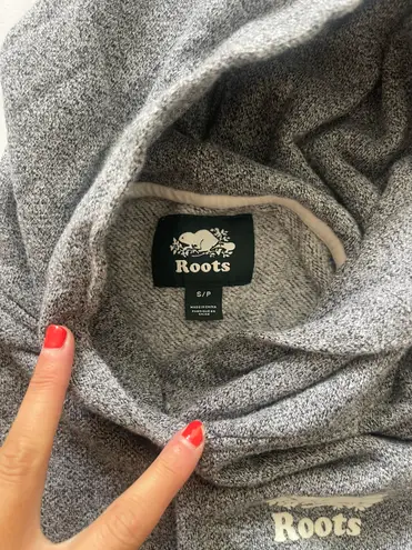 Roots Grey Hoodie