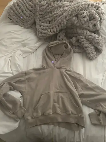 Aritzia Sweatshirt