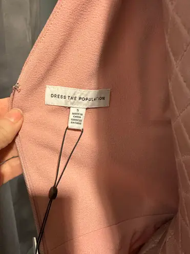 Dress the Population NWT Darleen V-neck Embroidered Cocktail Blush Dress Small