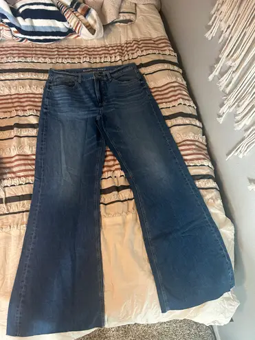 American Eagle Low Rise Baggy Flare Jeans