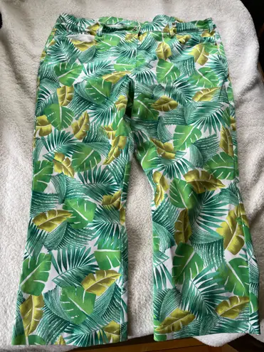 Diane Gilman DG2 by Green Tropical Palm Tree Cropped Pants 20W Cotton & Spandex