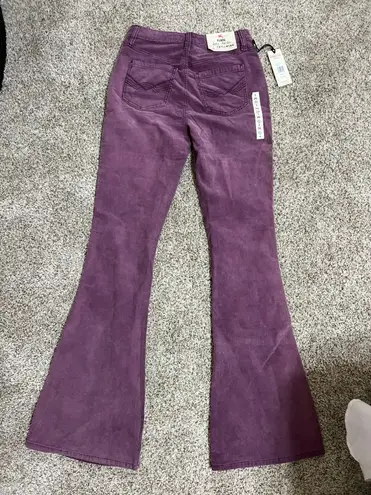 Idyllwind NWT  Jeans