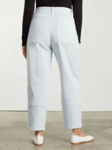 Everlane Utility Barrel Pants