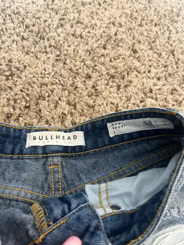 PacSun High Waisted Mom Jean Short