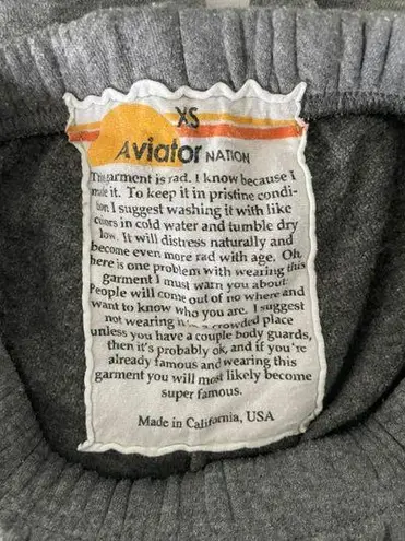 Aviator Nation 5-Stripe Sweatpants - Heather Grey - Women's XSāļøššš¼āāļø