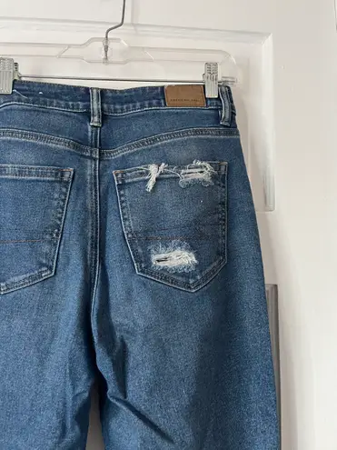 American Eagle Ripped High Waisted Mom Jeans