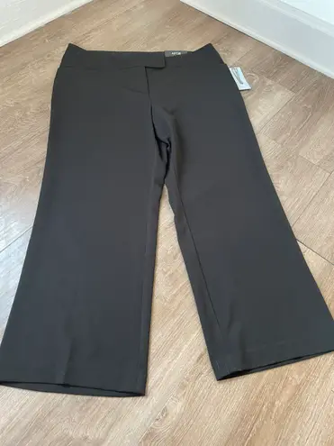 Apt. 9 NEW black trousers dress pants modern fit stretch women’s size 16WS