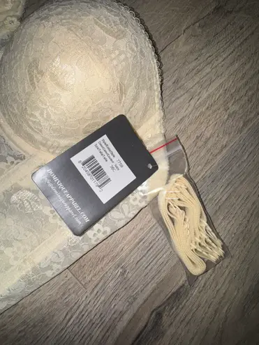 Dominique ivory lace corset new 36C