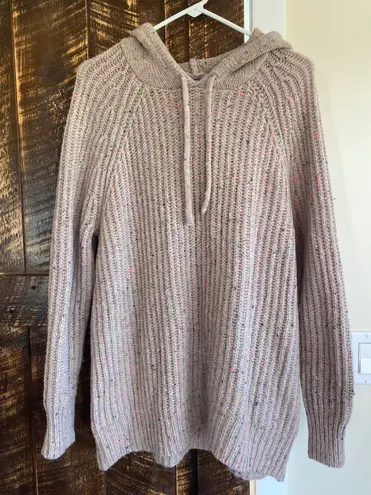 Aerie Hooded Sweater