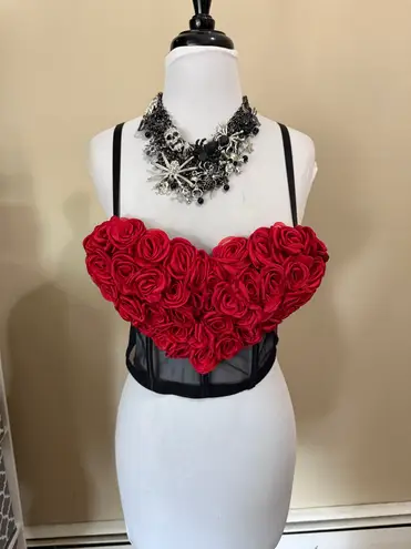 Women's rosebud Heart Embroidered Corset Top, Sheer. New, never worn. Red Size L