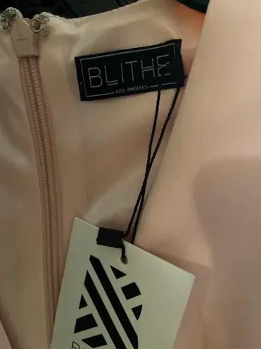 Blithe Blush Pink Plunge Neckline Side Slit Maxi Dress