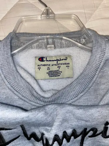 Champion Gray Sweater