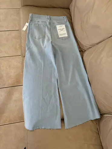 Frame Anthro Le Palazzo High-Rise Crop Wide-Leg Jeans