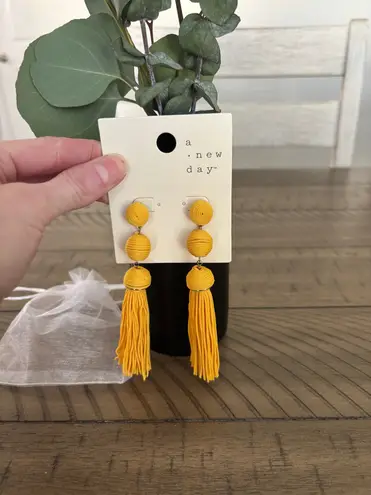 Target  Tassel Earrings